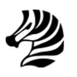 zebra zebra